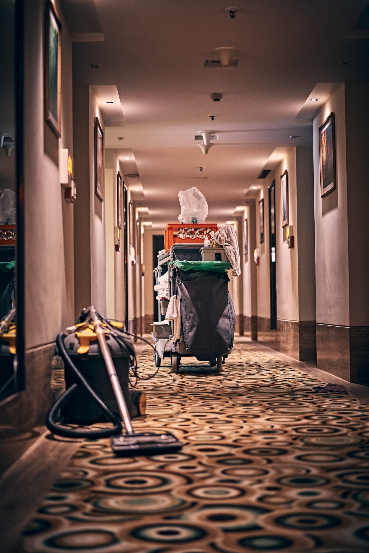 Know the professional cleaning tips that you can do at your home.